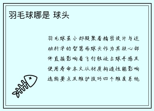 羽毛球哪是 球头